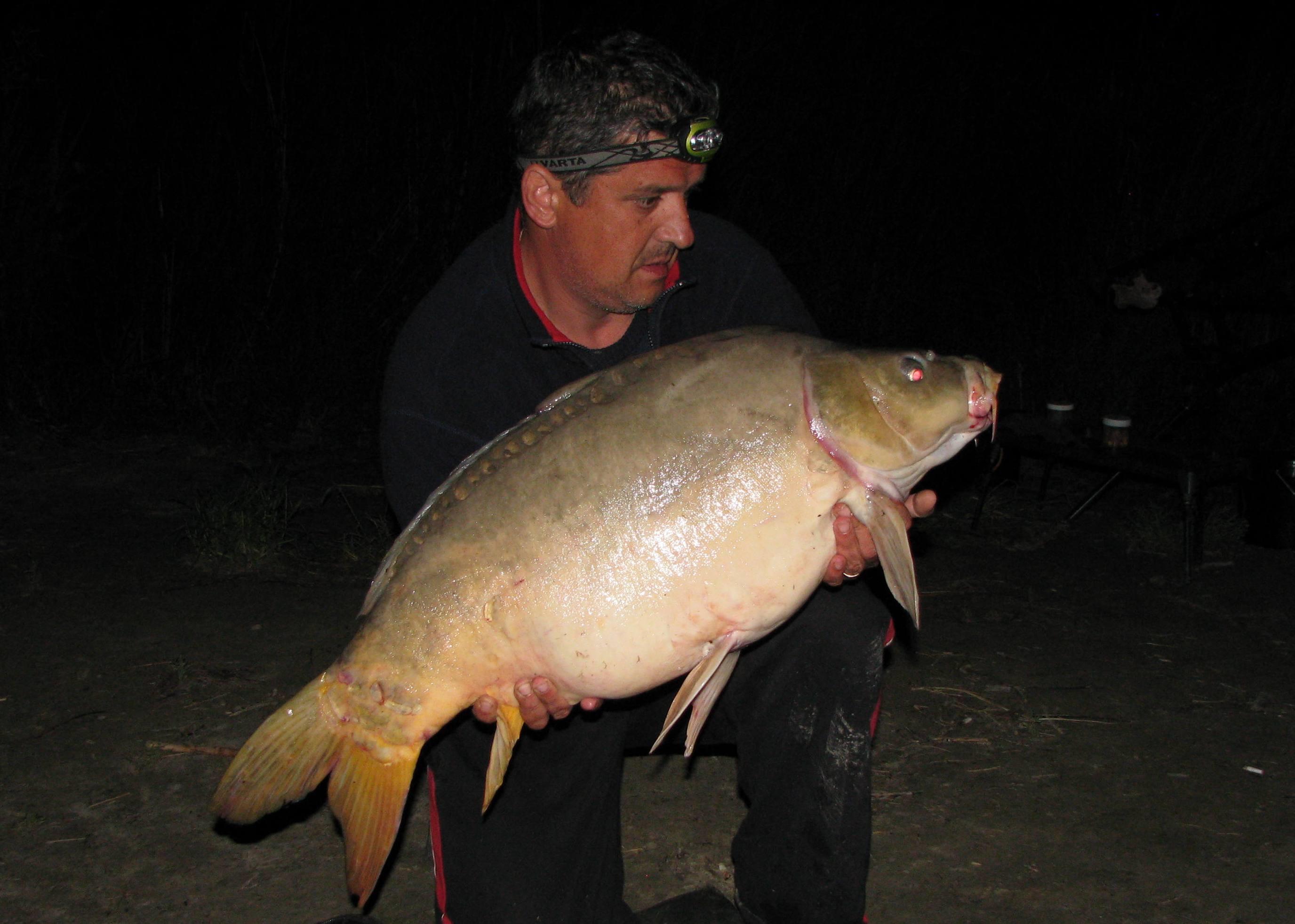 capturi - IMG_2968.JPG